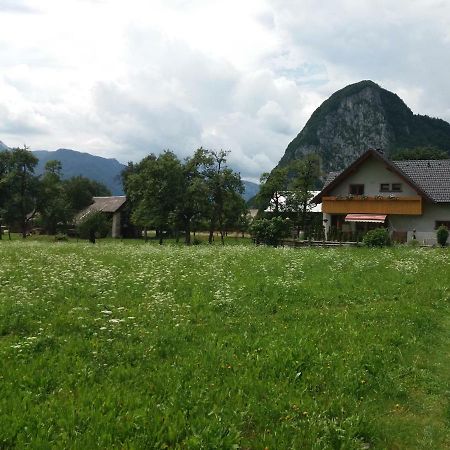 Apartmaji Bremec Bohinj Exterior foto